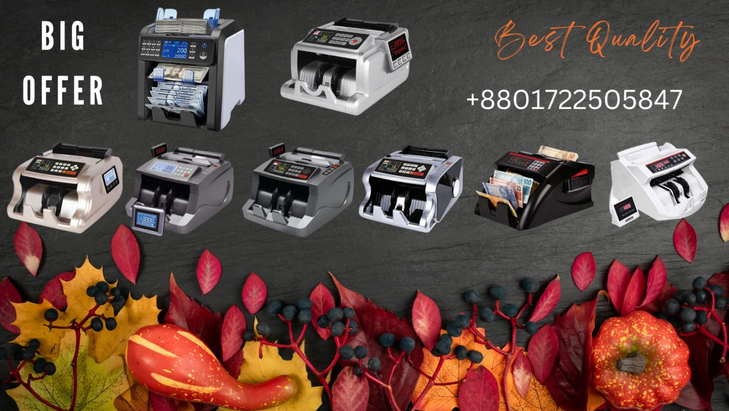 ever-greenbd.com promo